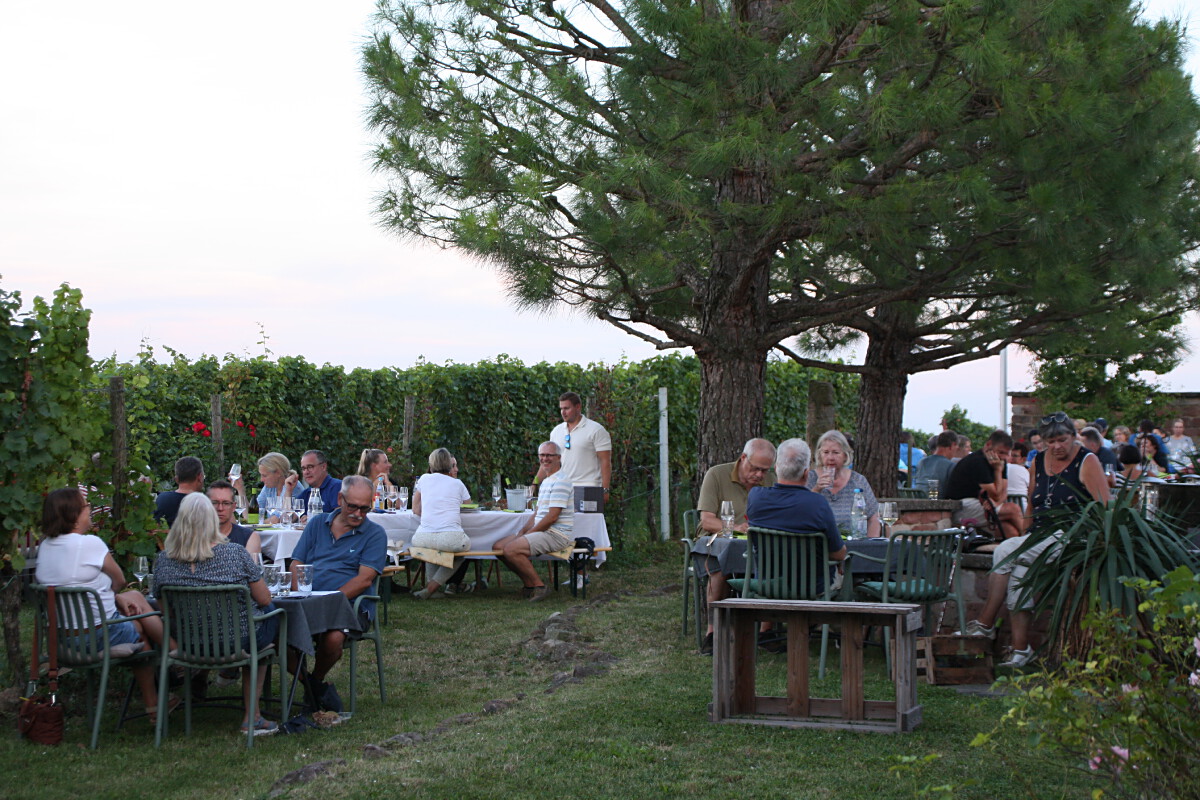 Bild | © Weingut Gerhard Mäurer GdbR