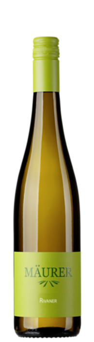 2024 Rivaner / Weingut Gerhard Mäurer GdbR / Dackenheim in der Pfalz | &copy; Weingut Gerhard Mäurer GdbR