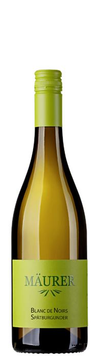 2025 Blanc de Noirs Spätburgunder / Weingut Gerhard Mäurer GdbR / Dackenheim in der Pfalz | &copy; Weingut Gerhard Mäurer GdbR