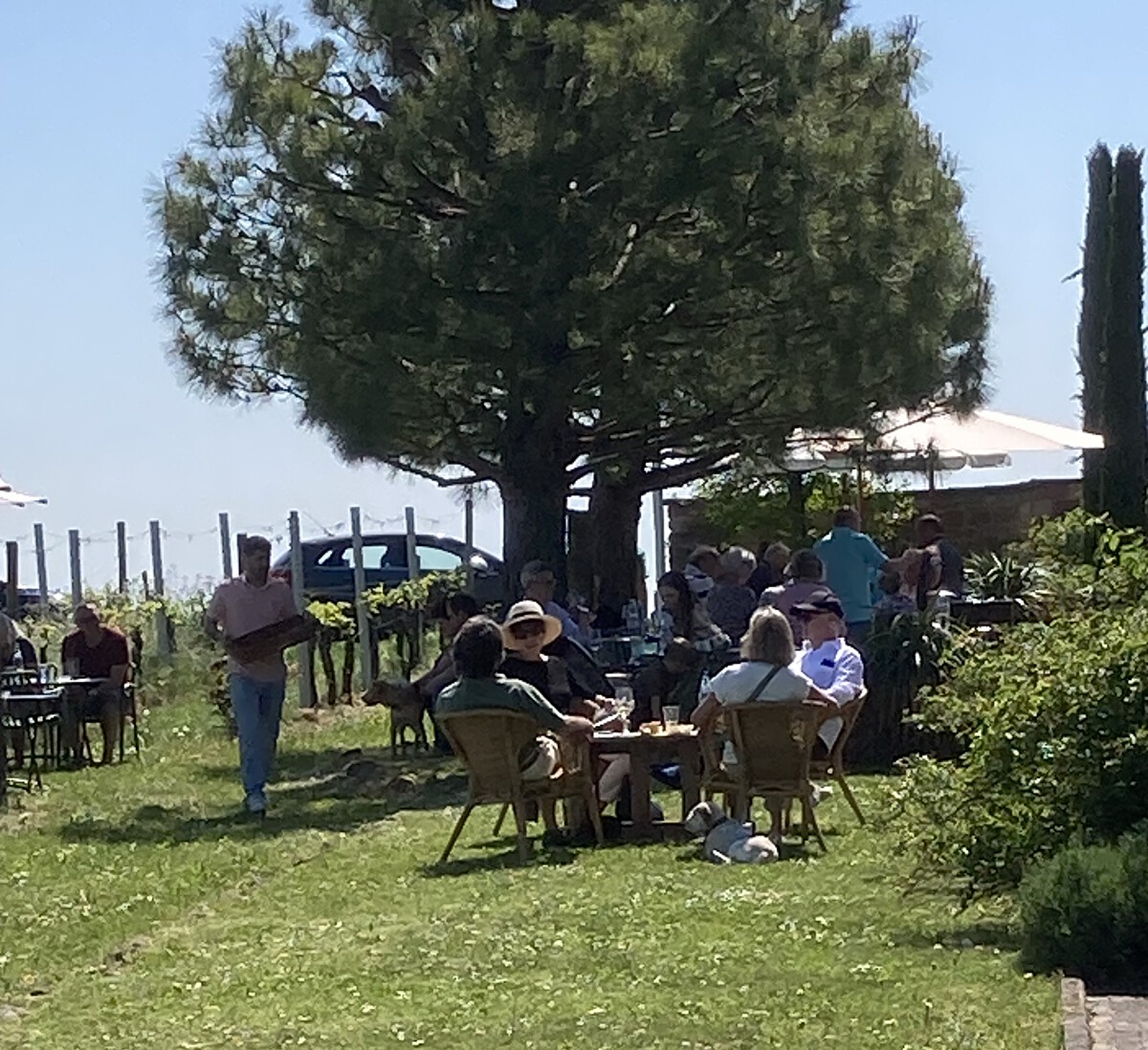 Bild | &copy; Weingut Gerhard Mäurer GdbR