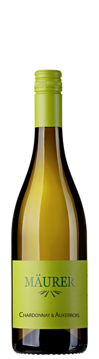 2025 Chardonnay & Auxerrois / Weingut Gerhard Mäurer GdbR / Dackenheim in der Pfalz | &copy; Weingut Gerhard Mäurer GdbR