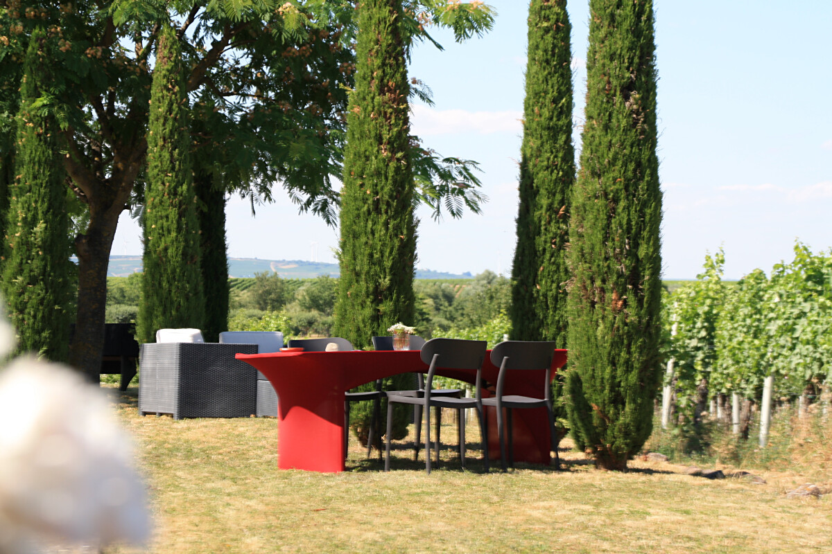 Bild | &copy; Weingut Gerhard Mäurer GdbR