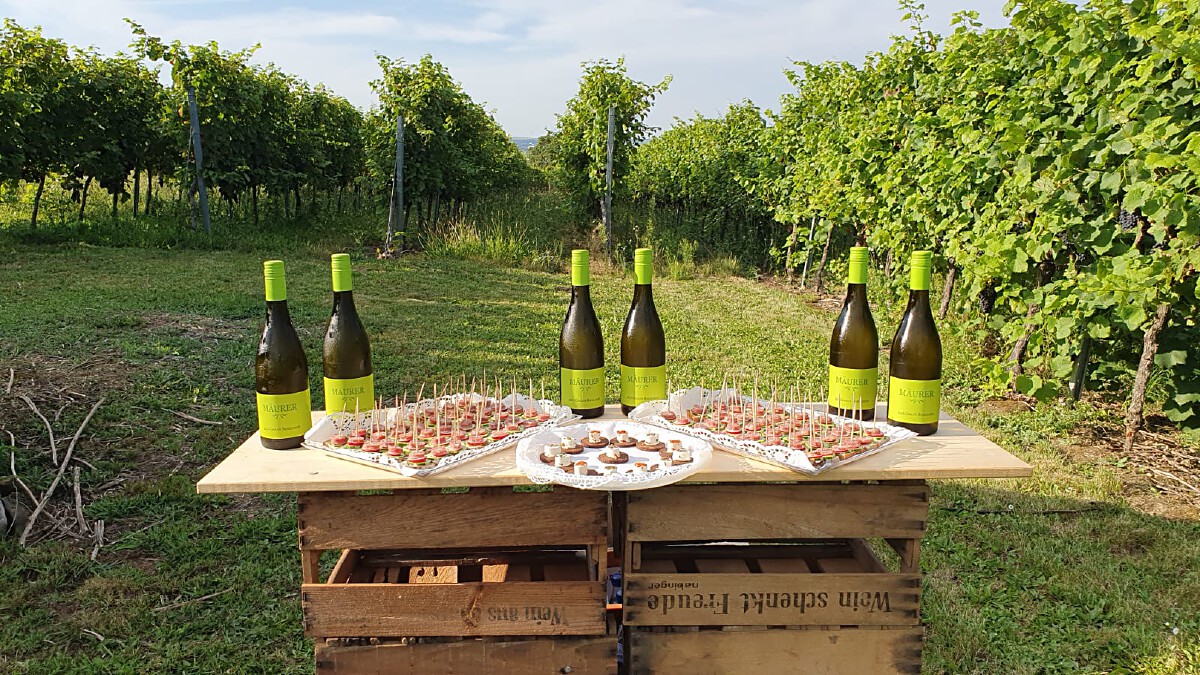 Bild | © Weingut Gerhard Mäurer GdbR