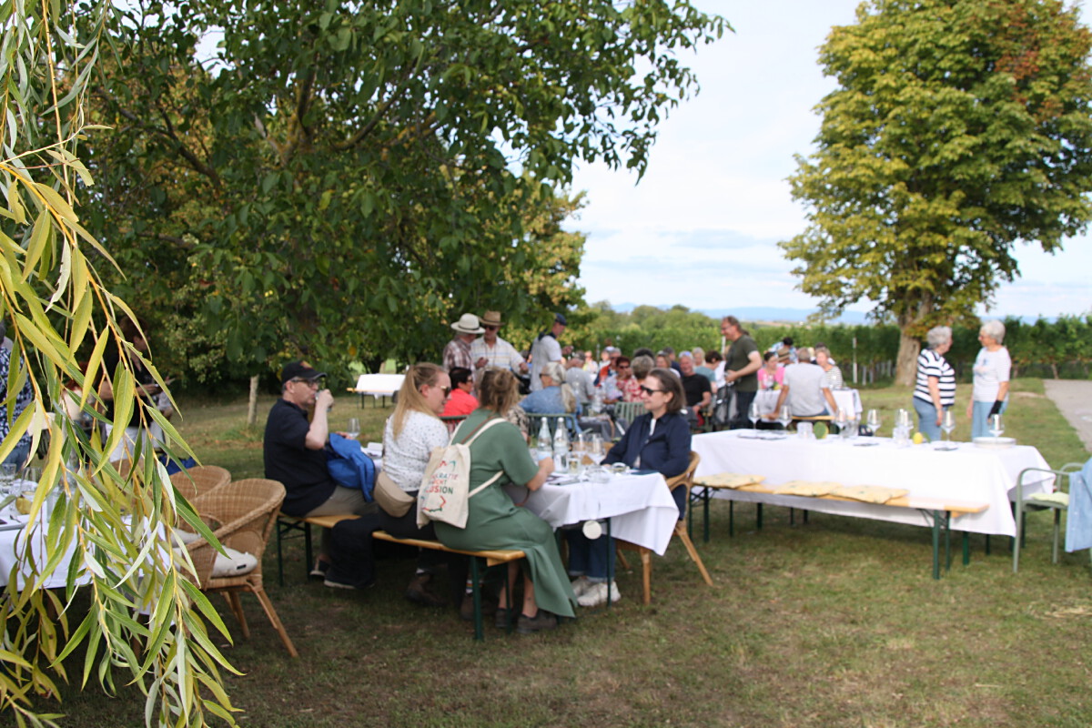 Bild | © Weingut Gerhard Mäurer GdbR